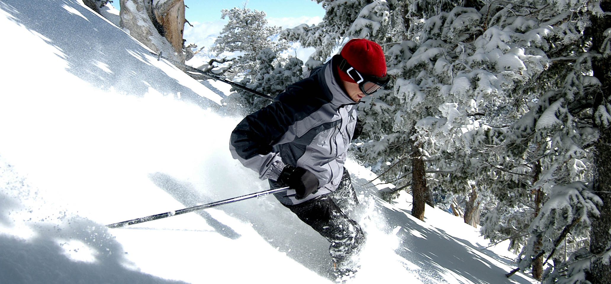 Designs Nanaimo Skier